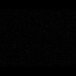 Meet your Posher, Lee